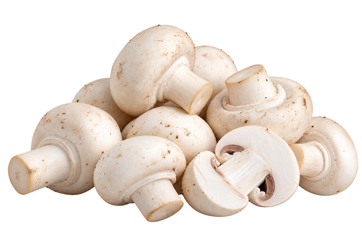 Button Mushroom