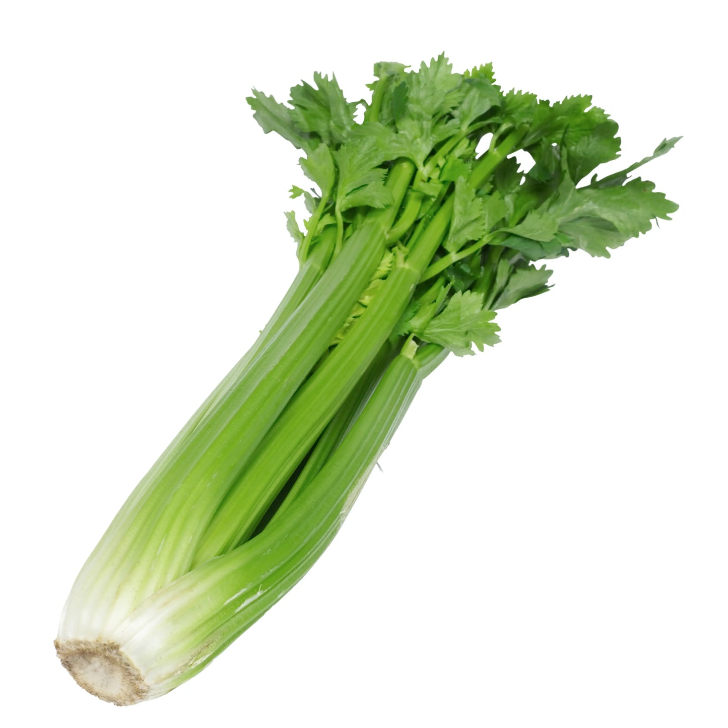 Celery