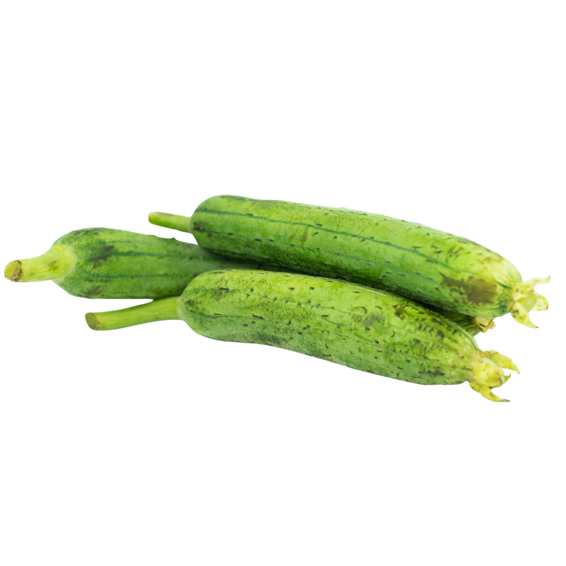 Gilki (Sponge Gourd)