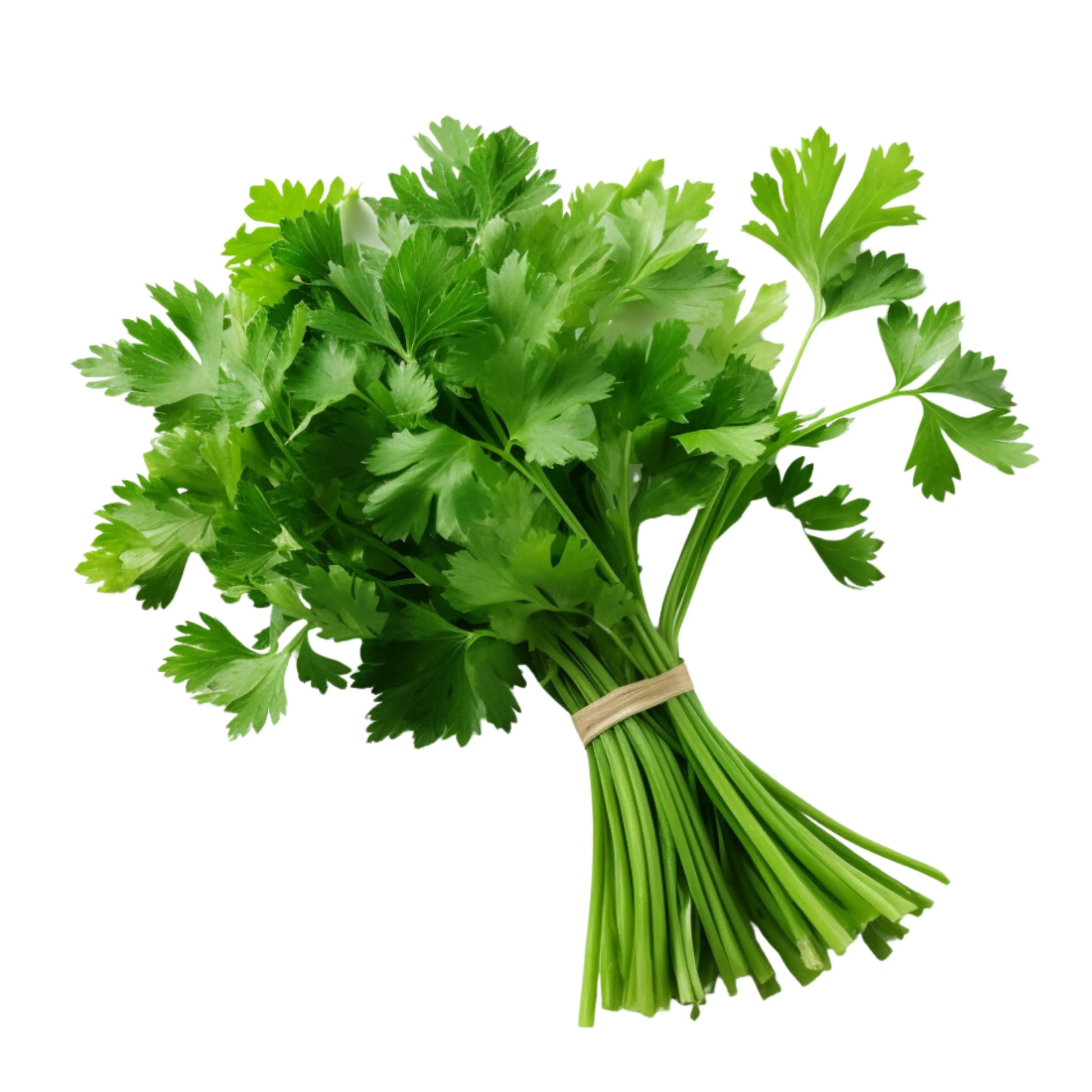 Parsley