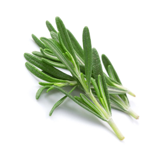 Rosemary