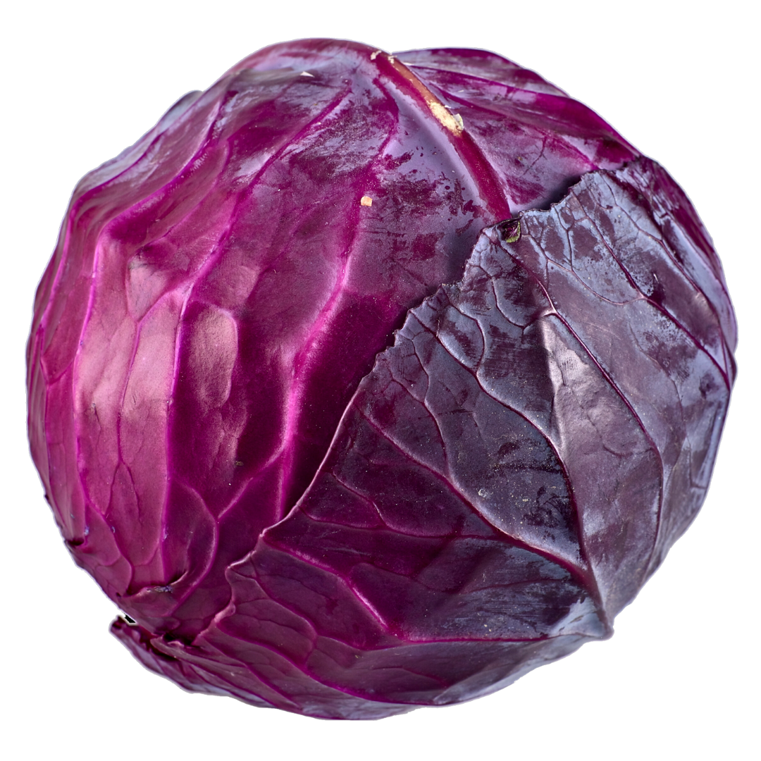 Purple Cabbage