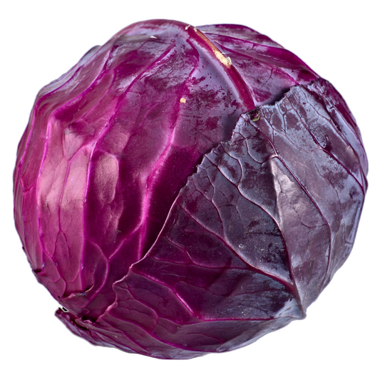 Purple Cabbage