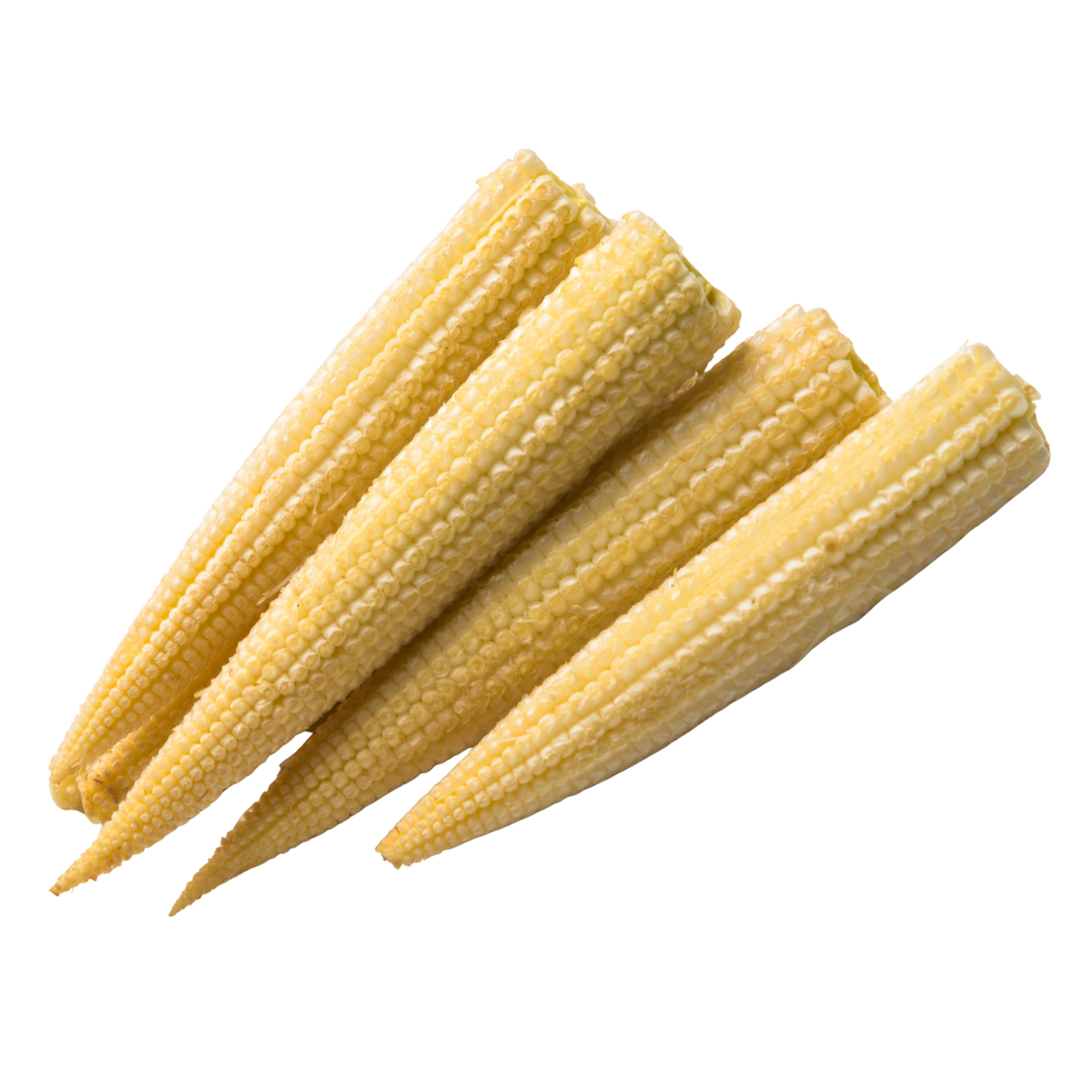 Baby Corn
