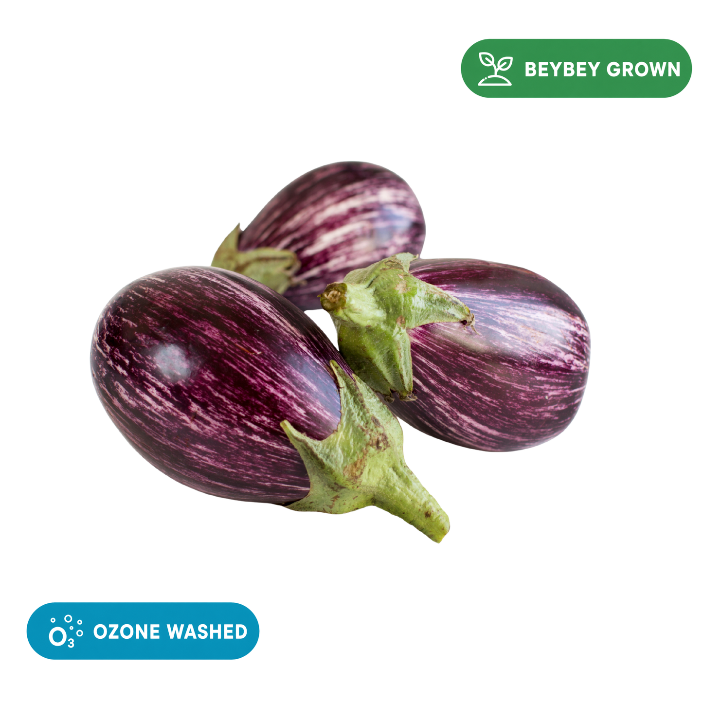 Baby Eggplant (Small Brinjal)
