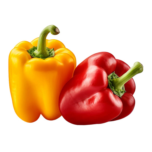 Bell Pepper 
