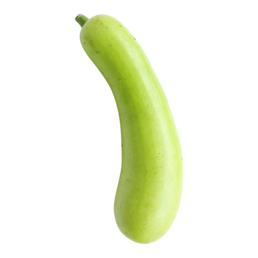 Bottle Gourd (लौकी)