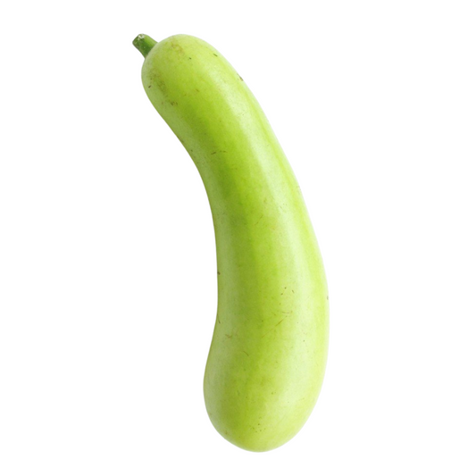 Bottle Gourd (लौकी)
