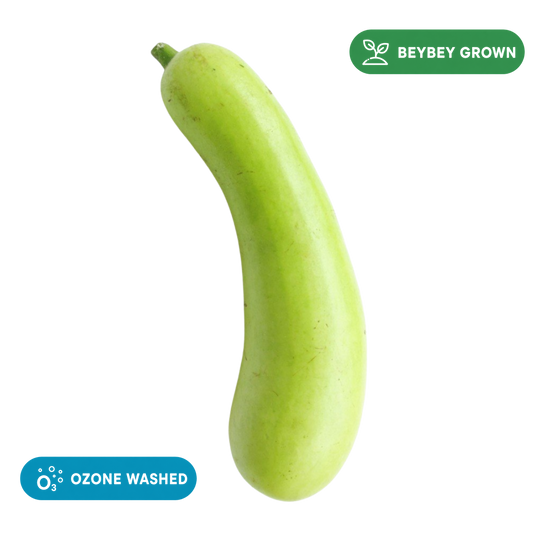 Bottle Gourd (लौकी)