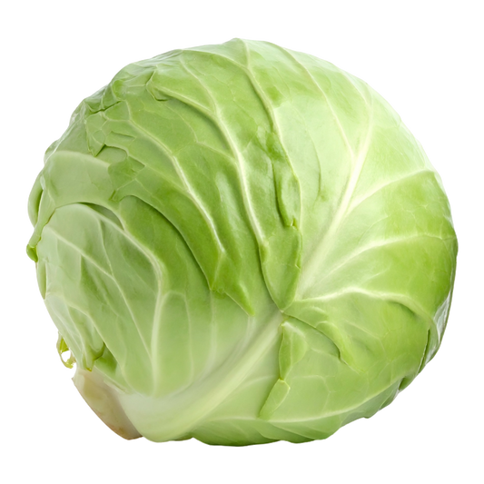 Cabbage