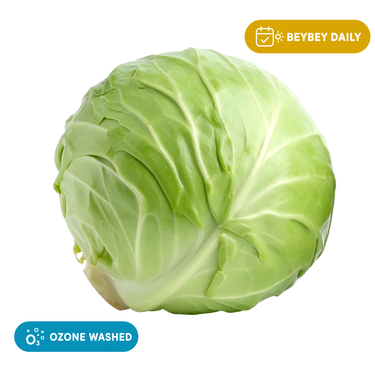 Cabbage