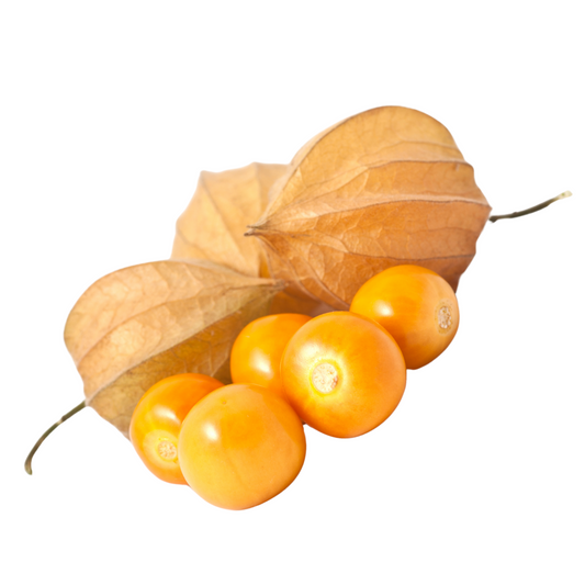 Organic Cape Gooseberry