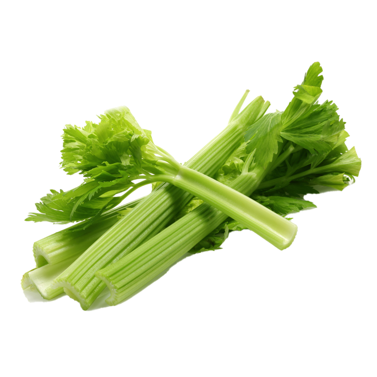 Celery
