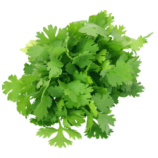 Coriander