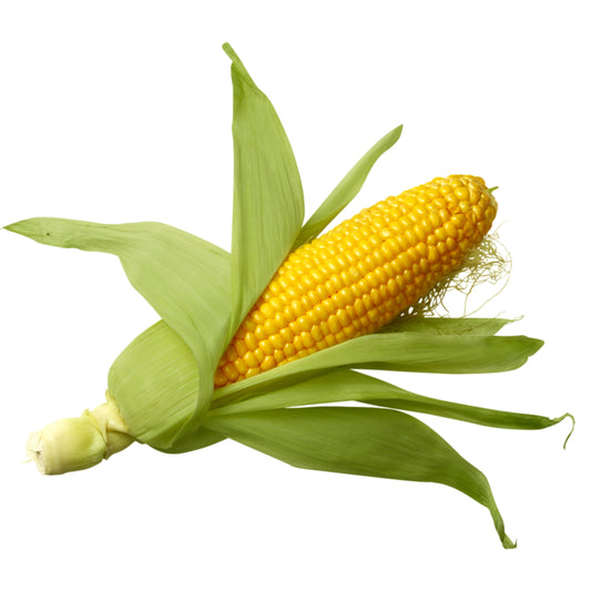 Corn (Bhutta)