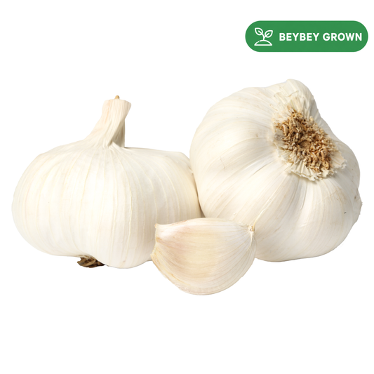 Garlic