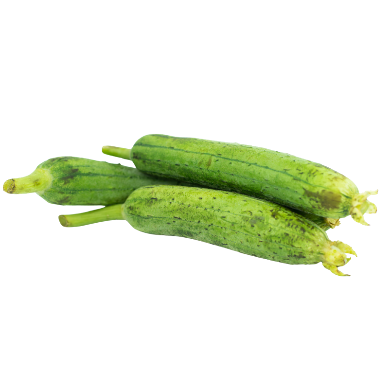 Gilki (Sponge Gourd)