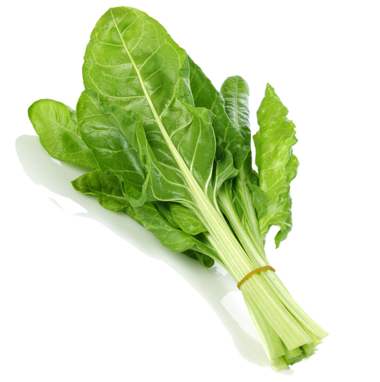 Green Swiss Chard