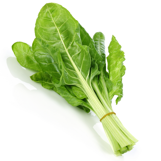 Green Swiss Chard