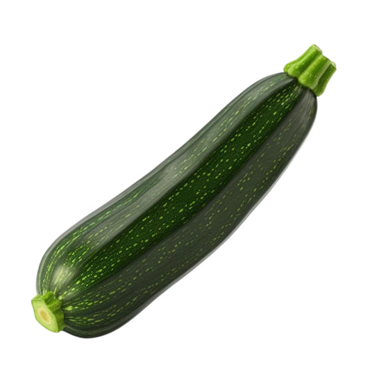 Green Zucchini 