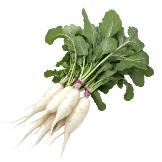 Imperfect Organic Radish