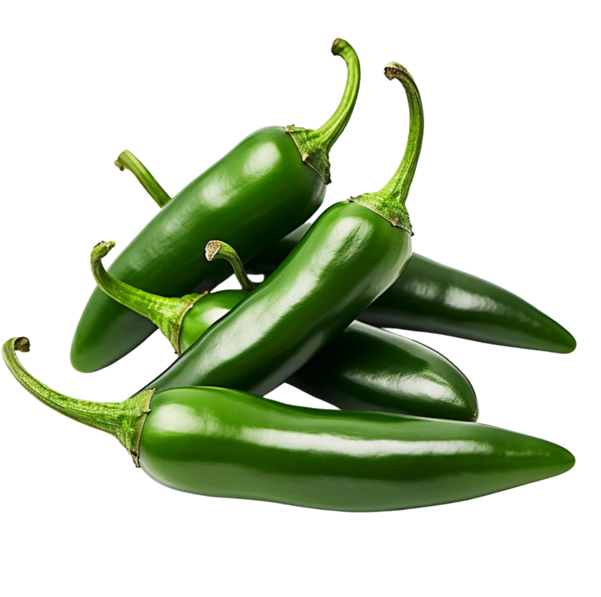 Jalapeno Pepper