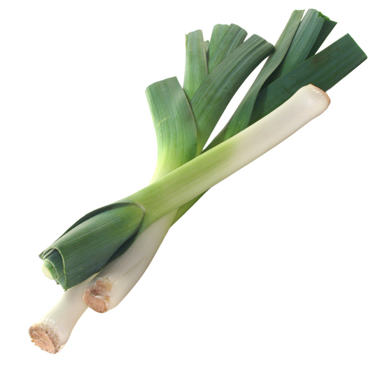 Leek