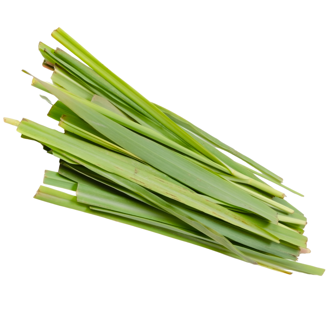 Lemon Grass