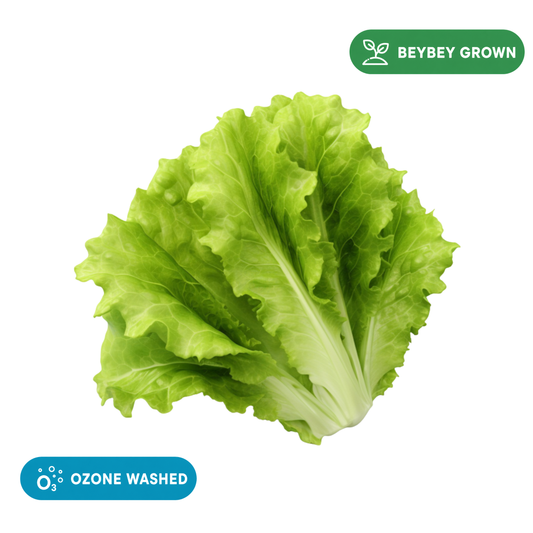 Lettuce Leaves
