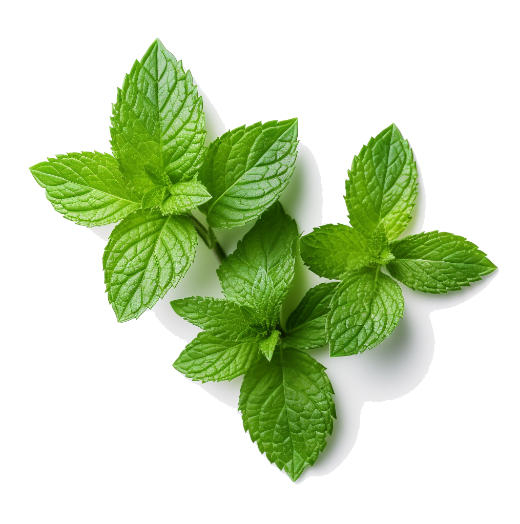 Mint