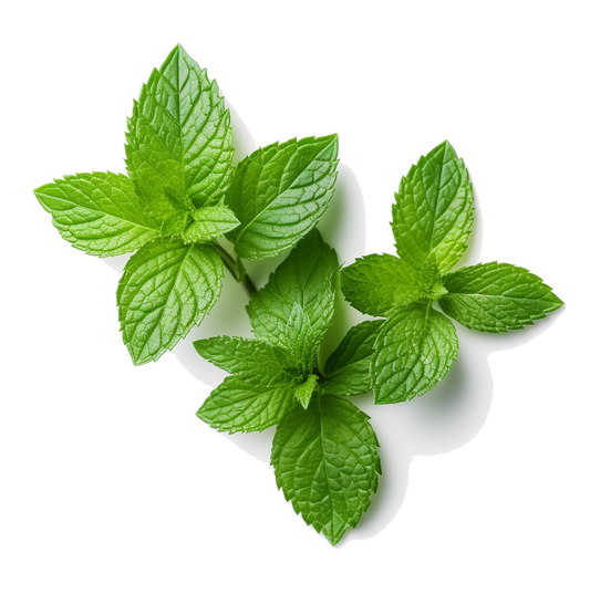 Mint