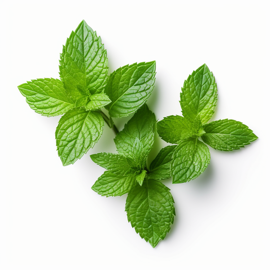 Mint