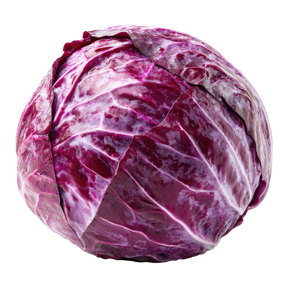 Purple Cabbage