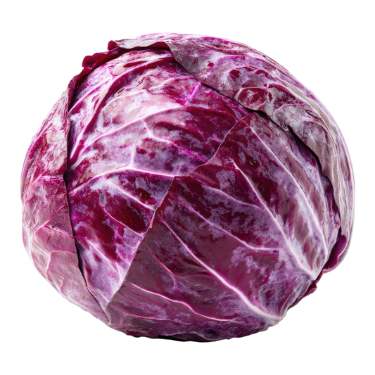 Purple Cabbage