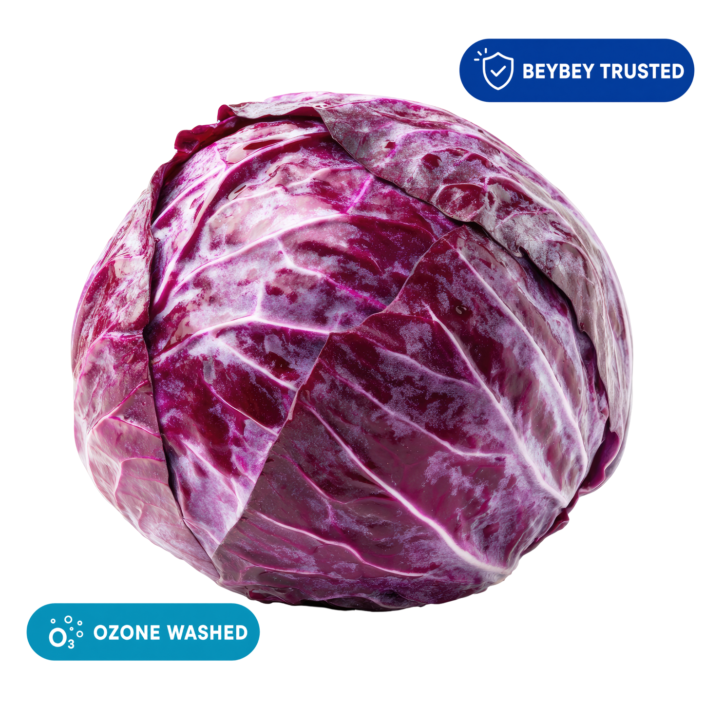 Purple Cabbage