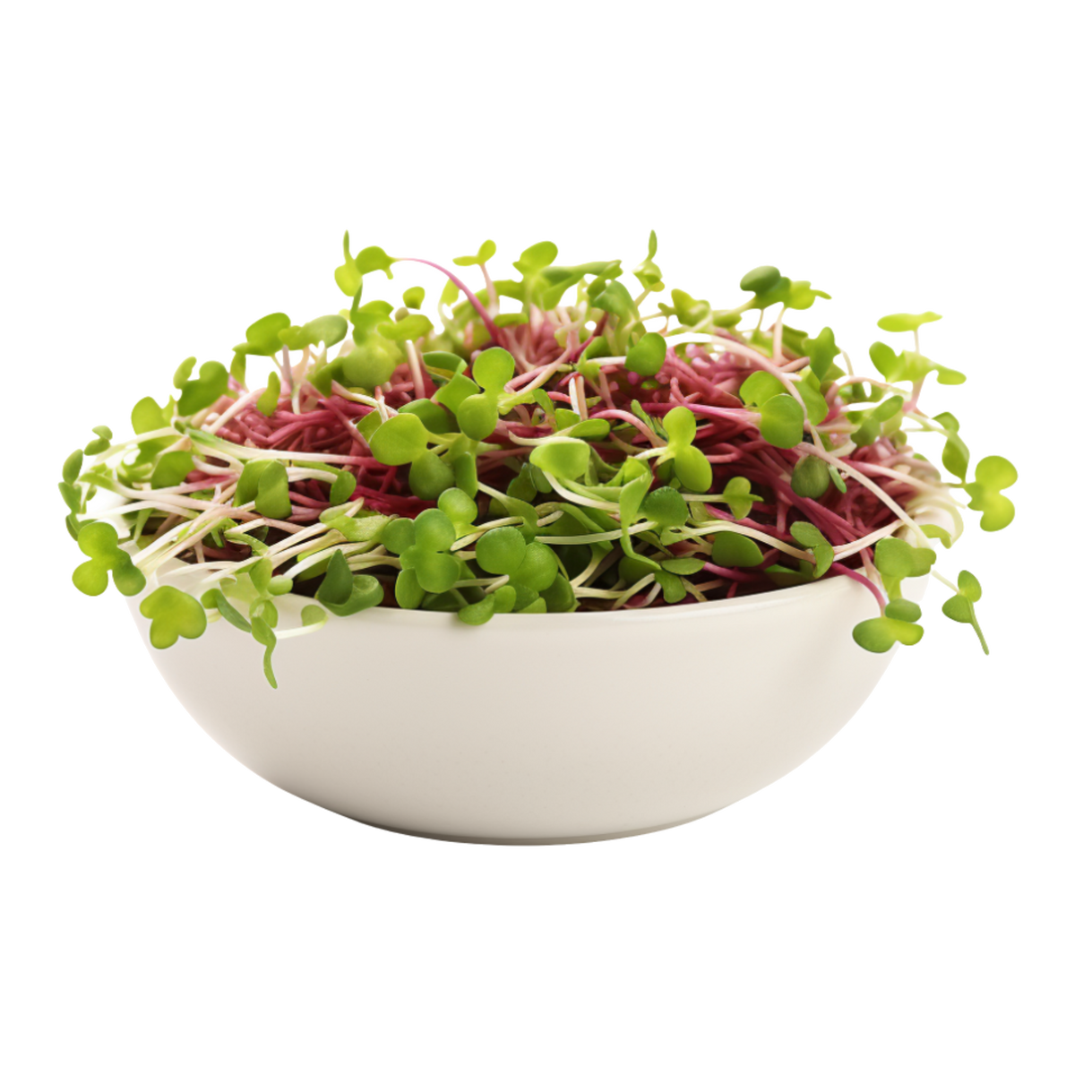 Spicy Microgreen Mix