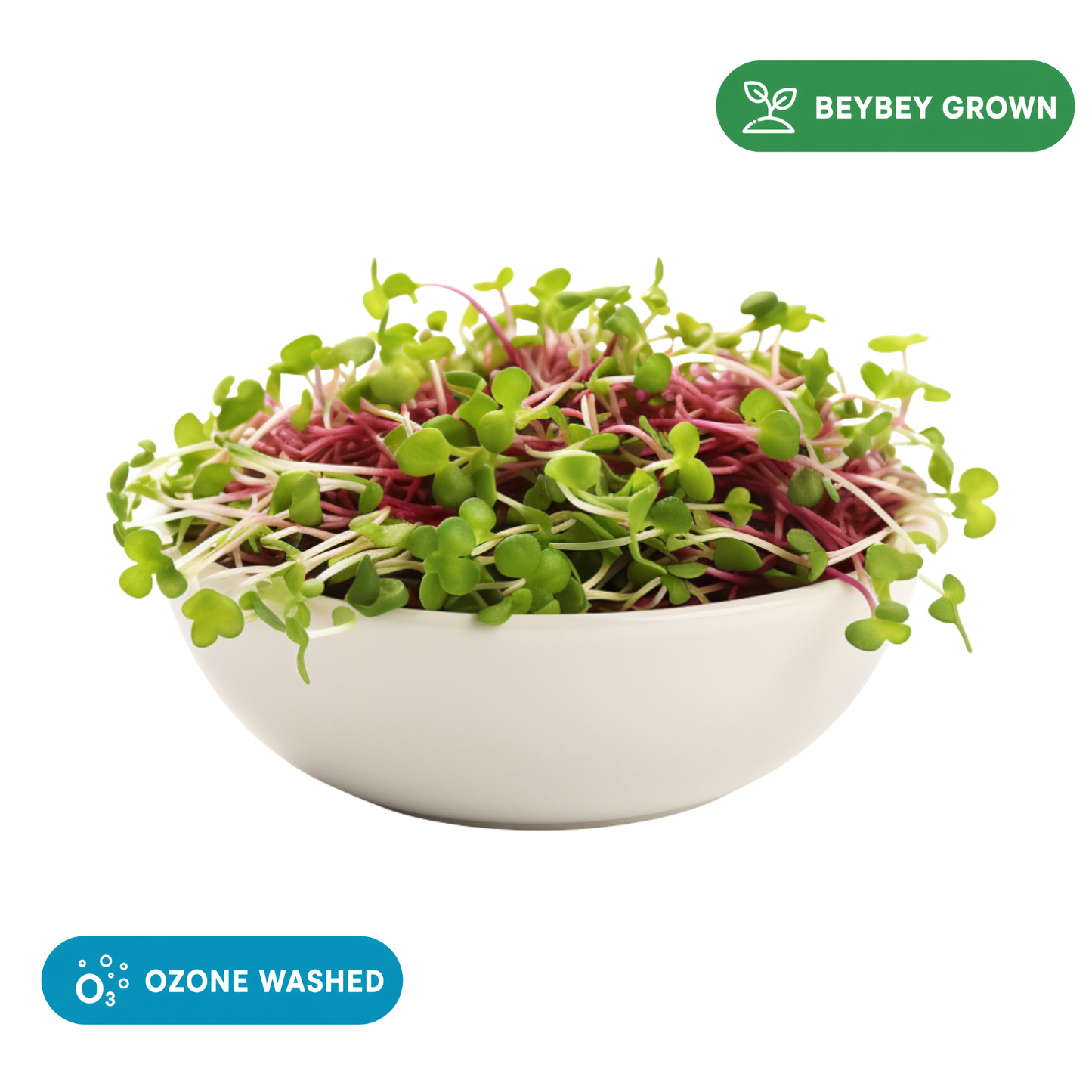 Spicy Microgreen Mix