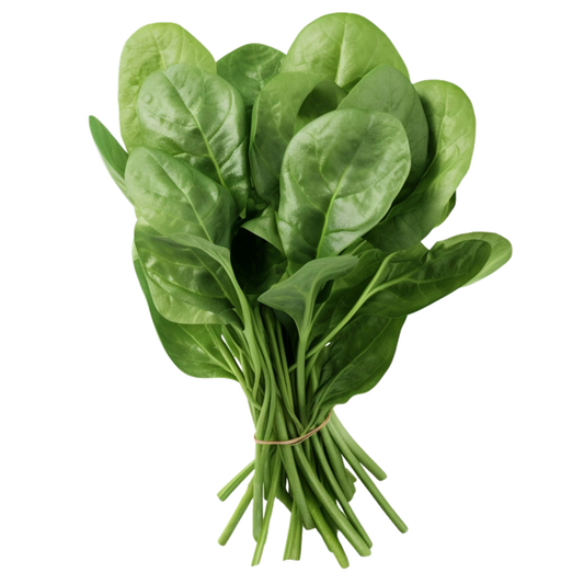 Spinach (पालक)