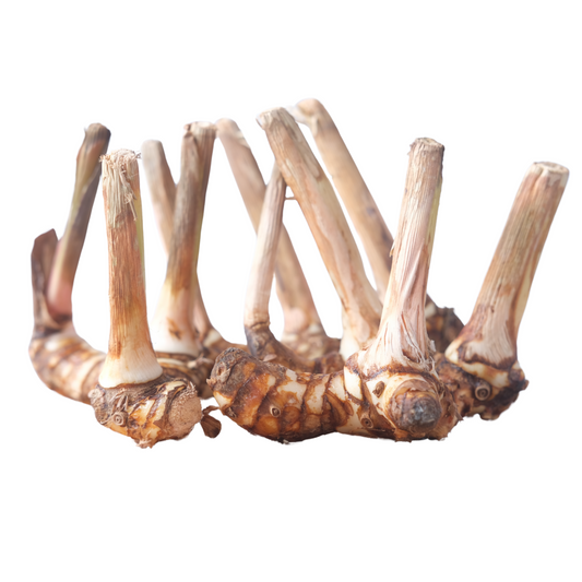 Fresh Thai Ginger (Galangal)