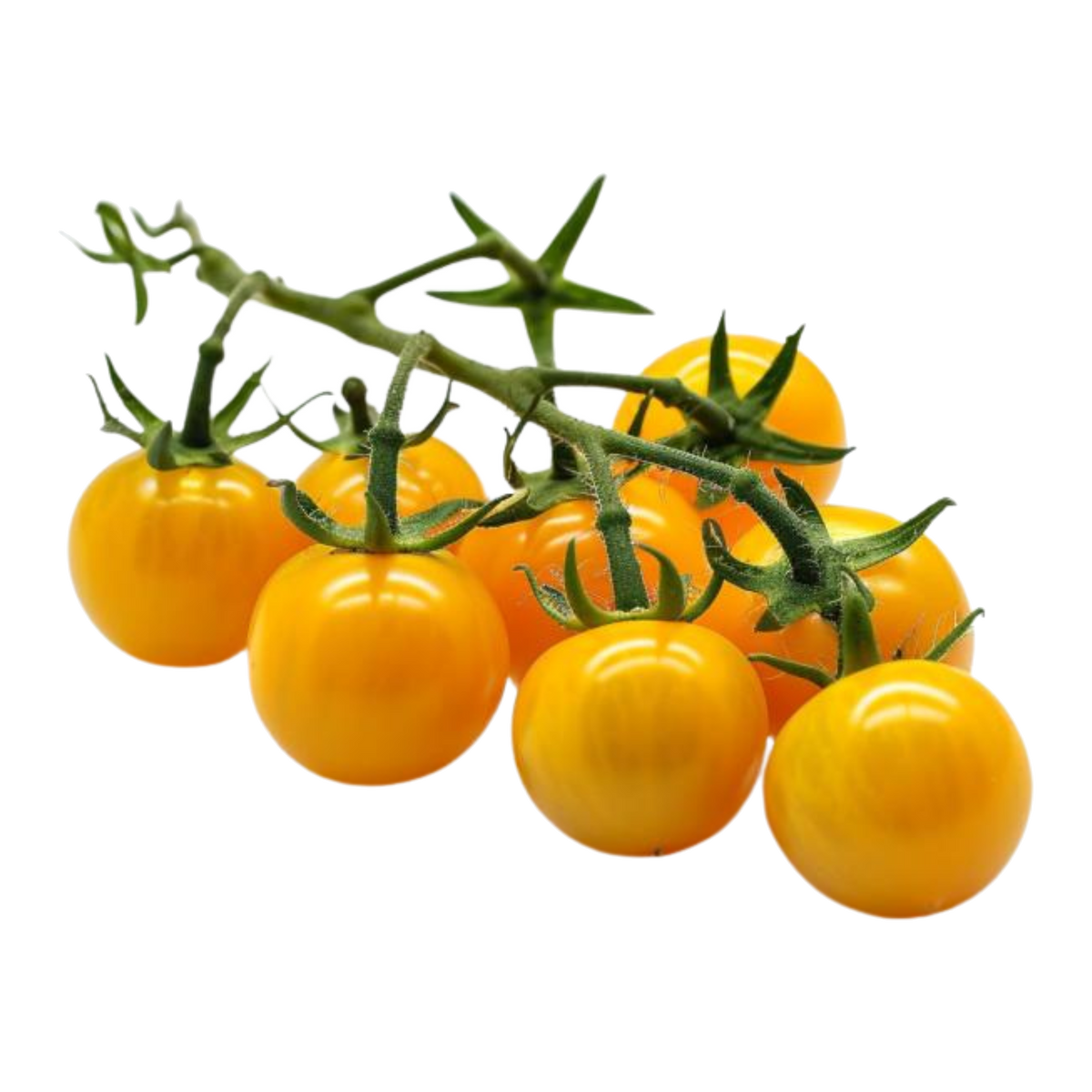 Yellow Cherry Tomatoes
