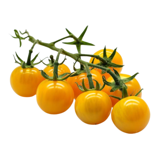 Yellow Cherry Tomatoes