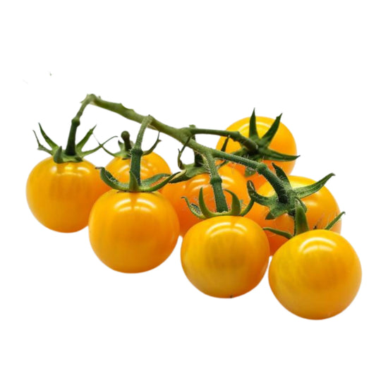 Yellow Cherry Tomato 