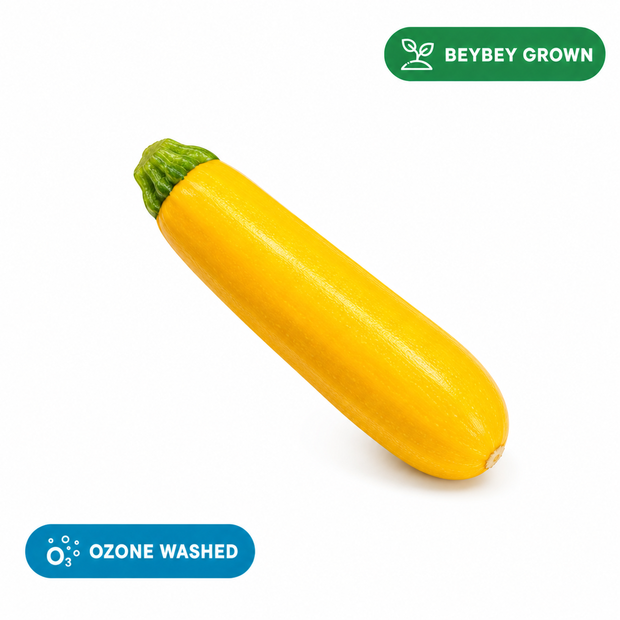 Yellow Zucchini
